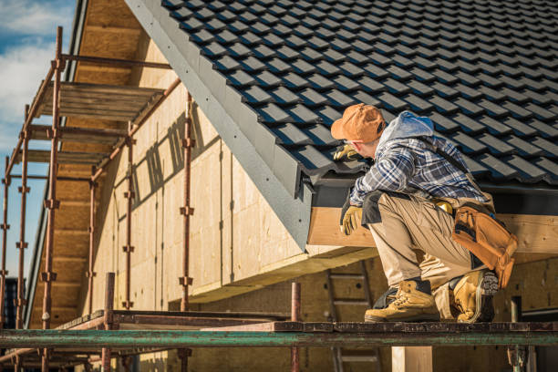 Best Roof Gutter Cleaning  in Swainsboro, GA