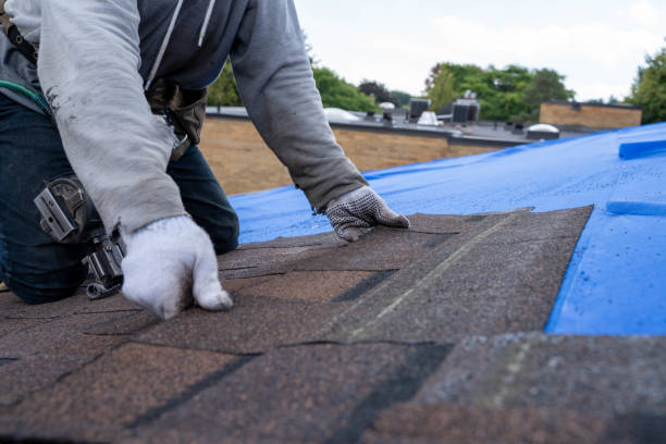Best Metal Roofing Contractor  in Swainsboro, GA