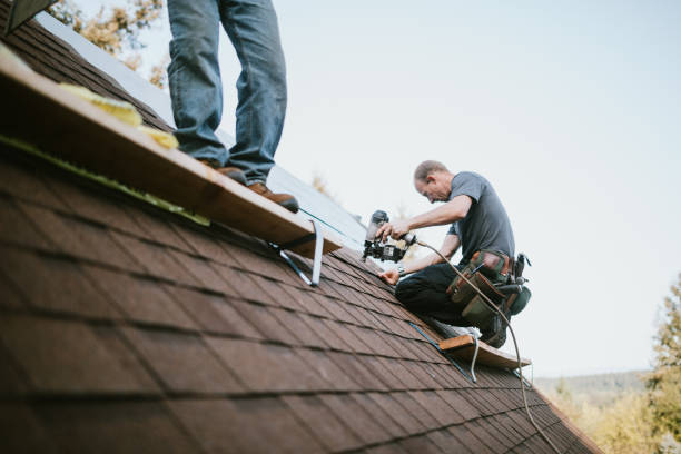 Best Roof Leak Repair  in Swainsboro, GA